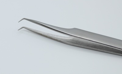 L- Navis     ,  Glass (,  2)