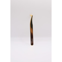  Navis     ,  Gold.  2